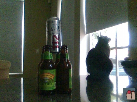 steel reserve, sierra nevada, honeyed cat